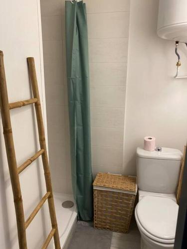 a bathroom with a toilet and a green shower curtain at Petit studio centre ville boucle in Besançon