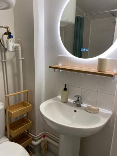 a bathroom with a sink and a mirror and a toilet at Petit studio centre ville boucle in Besançon