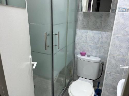 une salle de bain avec toilettes et douche en verre dans l'établissement Studio 4 pers, centre port Agde, proche commerces et plage, résidence sécurisée, animaux acceptés - FR-1-749-33, au Cap d'Agde