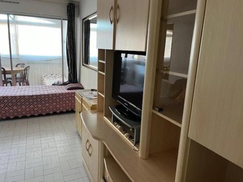 un salon avec une télévision et une chambre avec un lit dans l'établissement Studio 4 pers, centre port Agde, proche commerces et plage, résidence sécurisée, animaux acceptés - FR-1-749-33, au Cap d'Agde