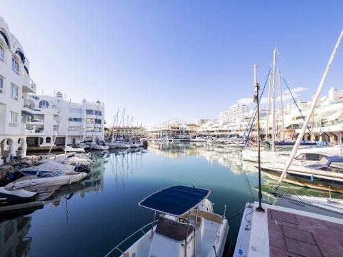 Mshome Puerto Marina Exclusive