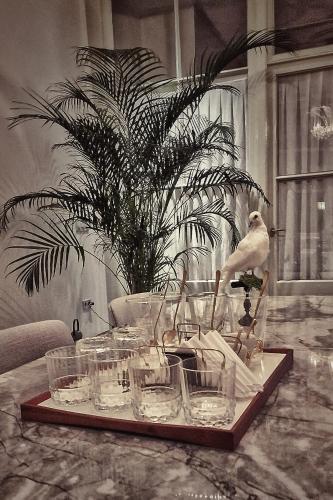 a tray of glasses on a table with a plant at Elf bed and breakfast in Bolsward