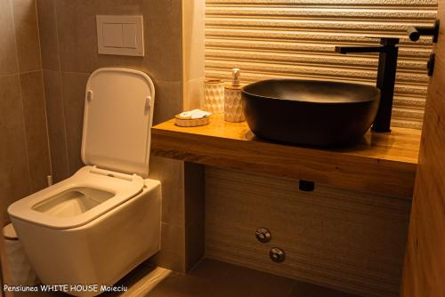 a bathroom with a toilet and a sink at White House Moieciu in Moieciu de Jos