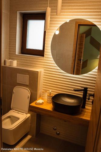 a bathroom with a sink and a toilet and a mirror at White House Moieciu in Moieciu de Jos