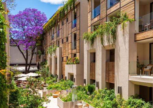 an apartment building with a courtyard with plants at NUMU Boutique Hotel, The Unbound Collection by Hyatt in San Miguel de Allende