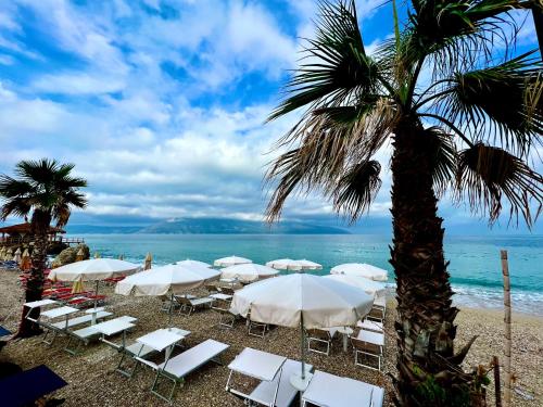 a beach with white chairs and a palm tree at Hotel Tramonto Vlore in Vlorë