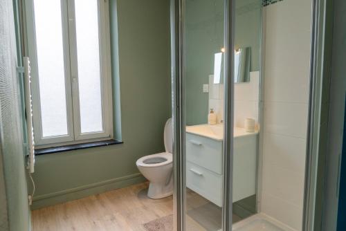 une salle de bain avec toilettes et douche en verre dans l'établissement Oslo - Appartement Spacieux et Cosy, à Charleville-Mézières