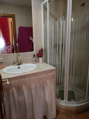 a bathroom with a sink and a shower at Zohet Santian in Arcones