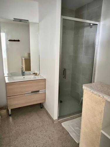 une salle de bain avec une douche, un lavabo et un miroir dans l'établissement Gwiskaou A 170m de la plage, à Concarneau