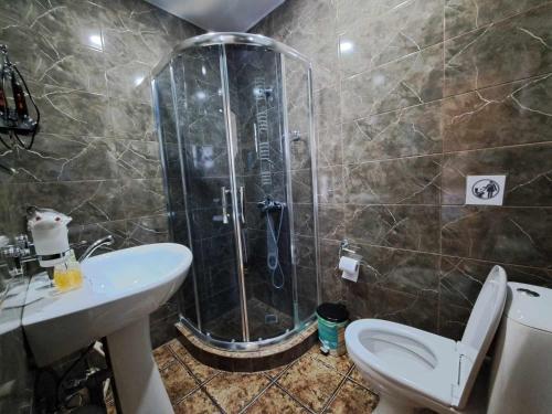 a bathroom with a shower and a toilet and a sink at Cottage in Gudauri in Gudauri