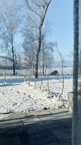 a snow covered park with trees and a field at Apartmán Lipenka in Černá v Pošumaví