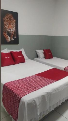 cysne hotel – Photos 2