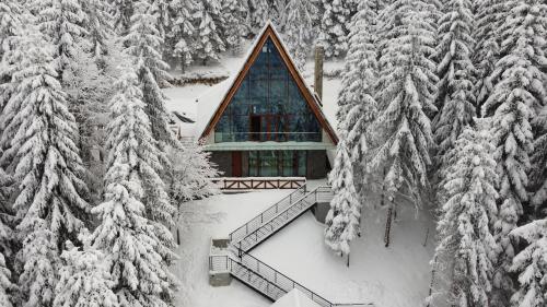 a cabin in the woods with snow covered trees at Sofia - Mountain Home in Kopaonik
