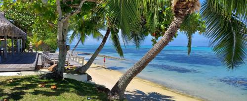 a beach with palm trees and the ocean at Moorea Island Beach Hotel in Moorea