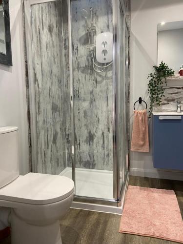 a bathroom with a toilet and a shower at The Old Barn Overton 8 in Overton