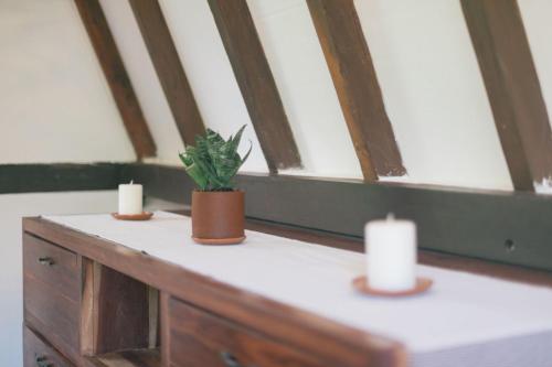 two candles and a potted plant on a window sill at Nahouse Jungle Lodges in Tulum