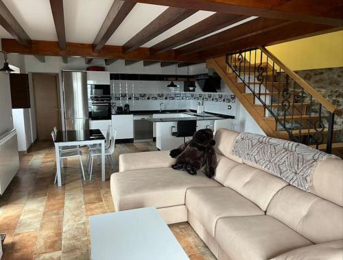 een hond zittend op een bank in een woonkamer bij La Casa del Marinero in Cudillero