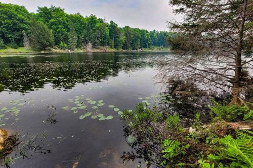 Chalet nature et tranquillité – Photos 5