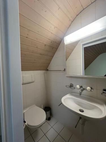 La salle de bains est pourvue d'un lavabo, de toilettes et d'un miroir. dans l'établissement Niederdorf, Baselland Hotel, à Niederdorf