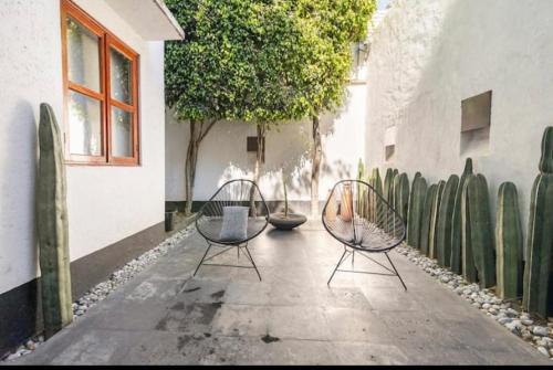 Taman di luar Siete Puertas Coyoacán