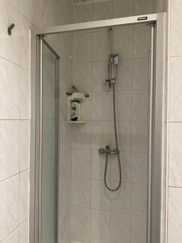 La salle de bains est pourvue d'une douche et d'une porte en verre. dans l'établissement Bnb Antwerp SportPlaza, à Anvers
