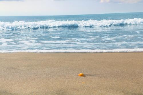 a piece of fruit on the beach with the ocean at Mas Can Calet Aparthotel in Les Franqueses del Vallès