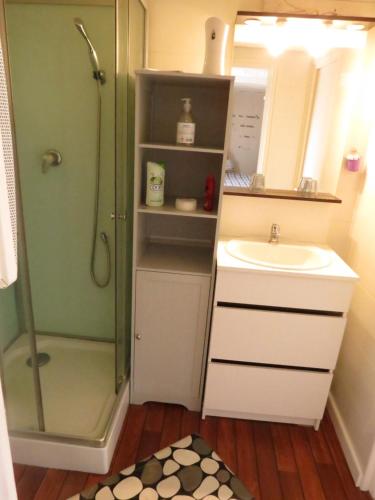 ein Bad mit einer Dusche und einem Waschbecken in der Unterkunft chambre d'hôte naturiste ou pas in Miniac-Morvan