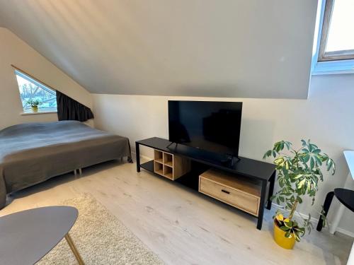 a bedroom with a bed and a flat screen tv at Captain's House - Kaptenimaja - Apartments in Kärdla