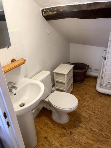 uma casa de banho com um WC branco e um lavatório. em Studio Orgelet-Lac de Vouglans em Orgelet