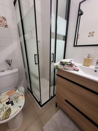 une salle de bain avec une douche, des toilettes et un lavabo dans l'établissement Charmant T2 climatisé proche Calvi centre, à Calvi