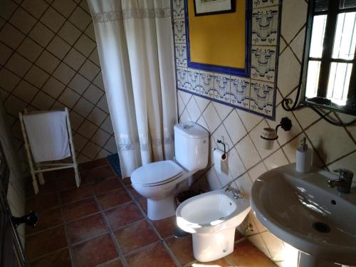 a bathroom with a toilet and a sink at CASA RURAL LA CABRA DEL MEDIO in Monesterio