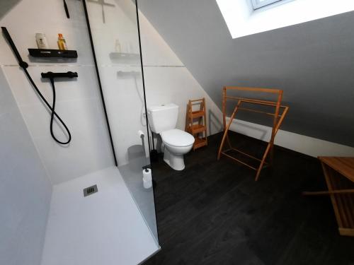 une petite salle de bain avec toilettes et douche dans l'établissement La Jouvencière ***, à Jouy