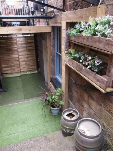 a patio with pots of plants on the side of a building at The Snug in Matlock