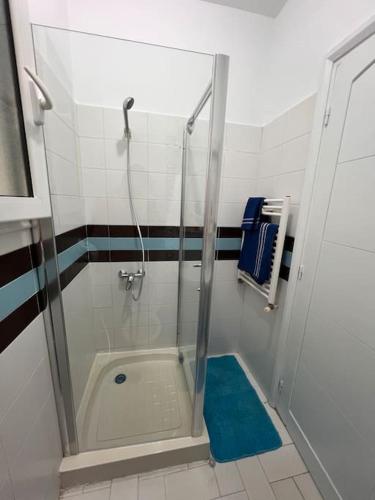 een douche met een glazen deur in de badkamer bij Cosy studio jardin de l’aouina in Tunis