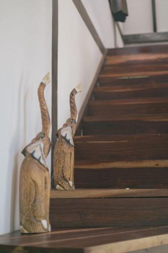 two cats standing on the stairs with their paws in the air at Nahouse Jungle Lodges in Tulum
