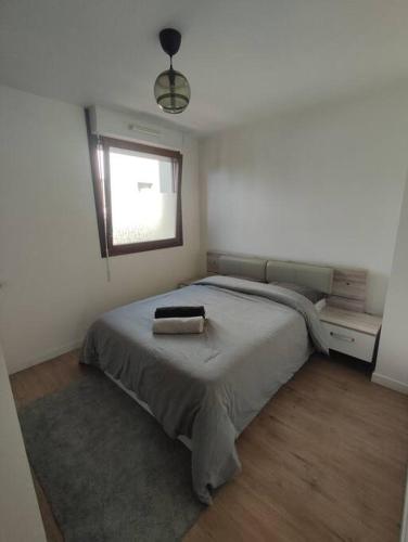 une chambre avec un grand lit avec une fenêtre dans l'établissement Charmant appartement proche Paris, à Eaubonne