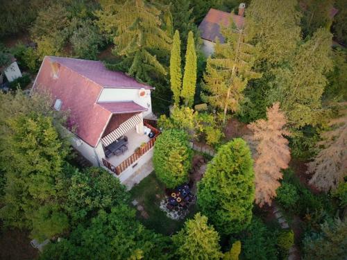 Égig Érő Fa Vendégház في Nógrád: إطلالة علوية على منزل كبير في الغابة