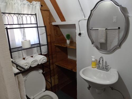 a bathroom with a sink and a mirror and a toilet at Boquete Firefly Inn in Boquete