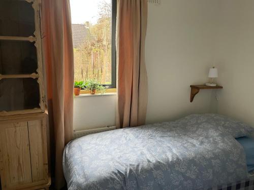 Schlafzimmer mit einem Bett und einem Fenster in der Unterkunft Wielewaal in Ewijk