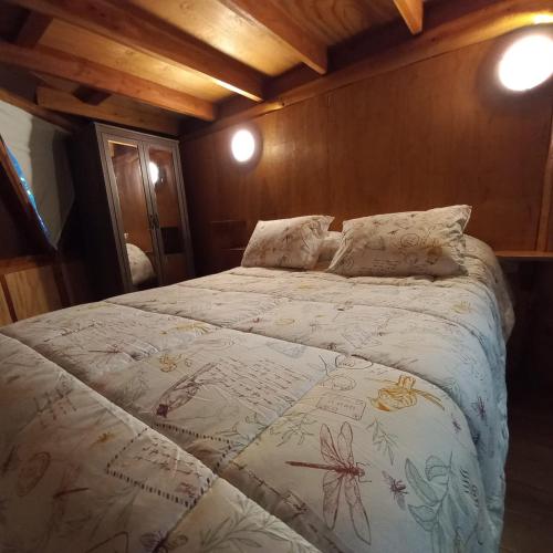 1 dormitorio con 1 cama grande en una habitación en Domo Geodésico Las Burritas, en Osorno