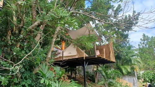 a tree house in a tree at Tipi/Glamping in Capesterre-Belle-Eau