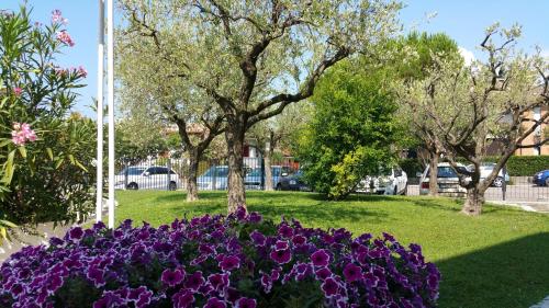 a bunch of purple flowers in a park with trees at Hotel Holiday in Sirmione