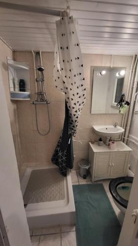ein kleines Bad mit einer Dusche und einem Waschbecken in der Unterkunft Petite maison in Nogent-le-Rotrou