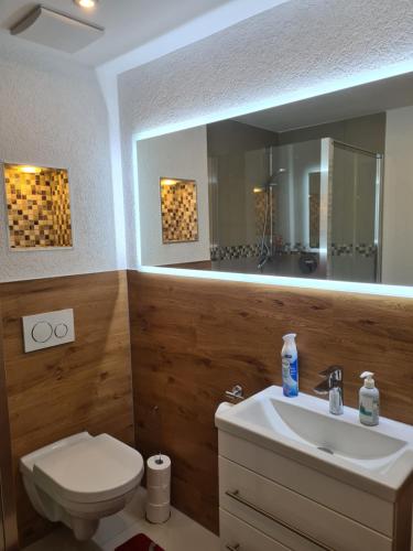 a bathroom with a sink and a toilet and a mirror at WellandHome Aalen - Private Deluxe Apartment in Aalen