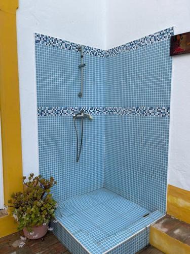 een blauwe betegelde douche in een badkamer met een plant bij Solar Das Marés in Fuzeta