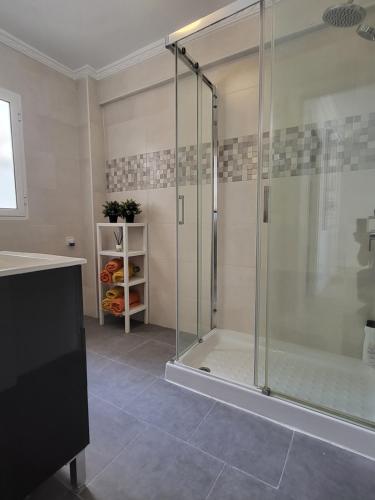 bagno con doccia e porta in vetro di Appartement centre ville Malaga a Málaga