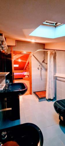 a bathroom with a toilet and a sink and a shower at L'attico di Ovidio in Sulmona