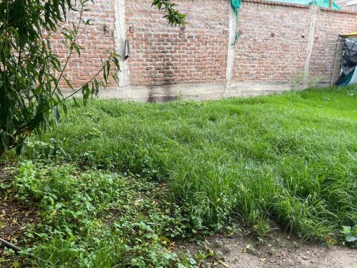 a field of grass next to a brick wall at Yachanapaq Wasi I in Huanta