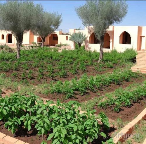un jardín con árboles y plantas frente a un edificio en la verte esouairia, en Essaouira