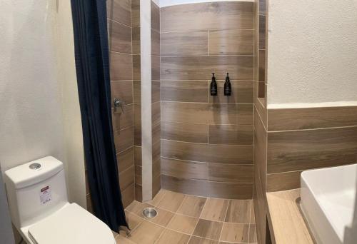 a bathroom with a shower with a toilet at Centrico House in Taxco de Alarcón